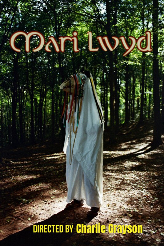 Mari Lwyd - Poster